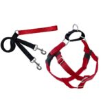 Freedom No-Pull Harness and Leash - Red / Medium 5/8"