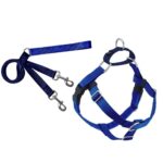 Freedom No-Pull Harness and Leash - Royal Blue / Medium 5/8"