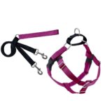Freedom No-Pull Harness and Leash -  Raspberry / Medium 1"