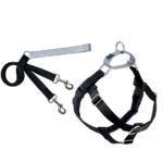Freedom No-Pull Harness and Leash - Black / Large 1"